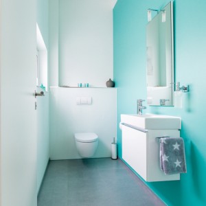 ToiletFactors to Consider When Designing the Perfect Guest Bathroom